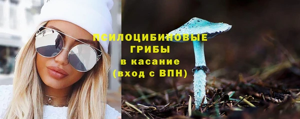 ешки Богородицк