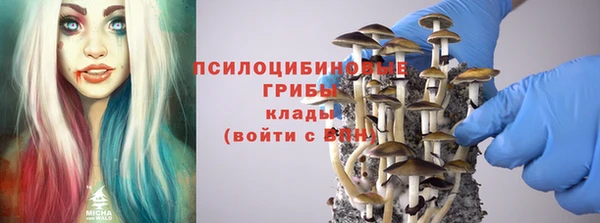 МДПВ Богданович
