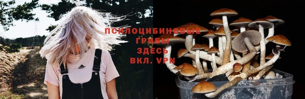 альфа пвп Богородск