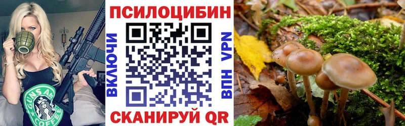 блэк спрут ТОР  Балаково  Псилоцибиновые грибы Cubensis 